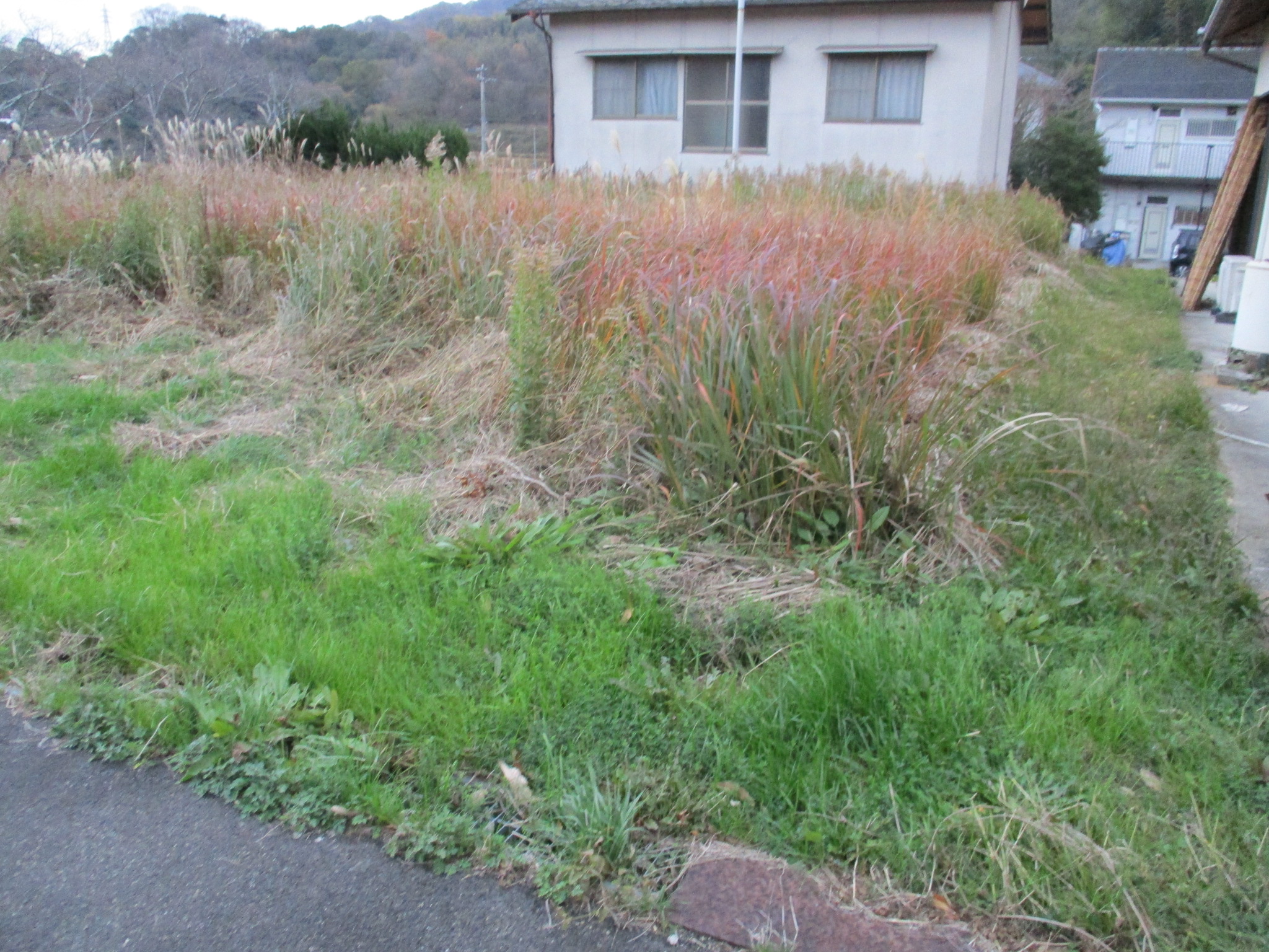 東かがわ市三殿土地（38万円）情報公開しました