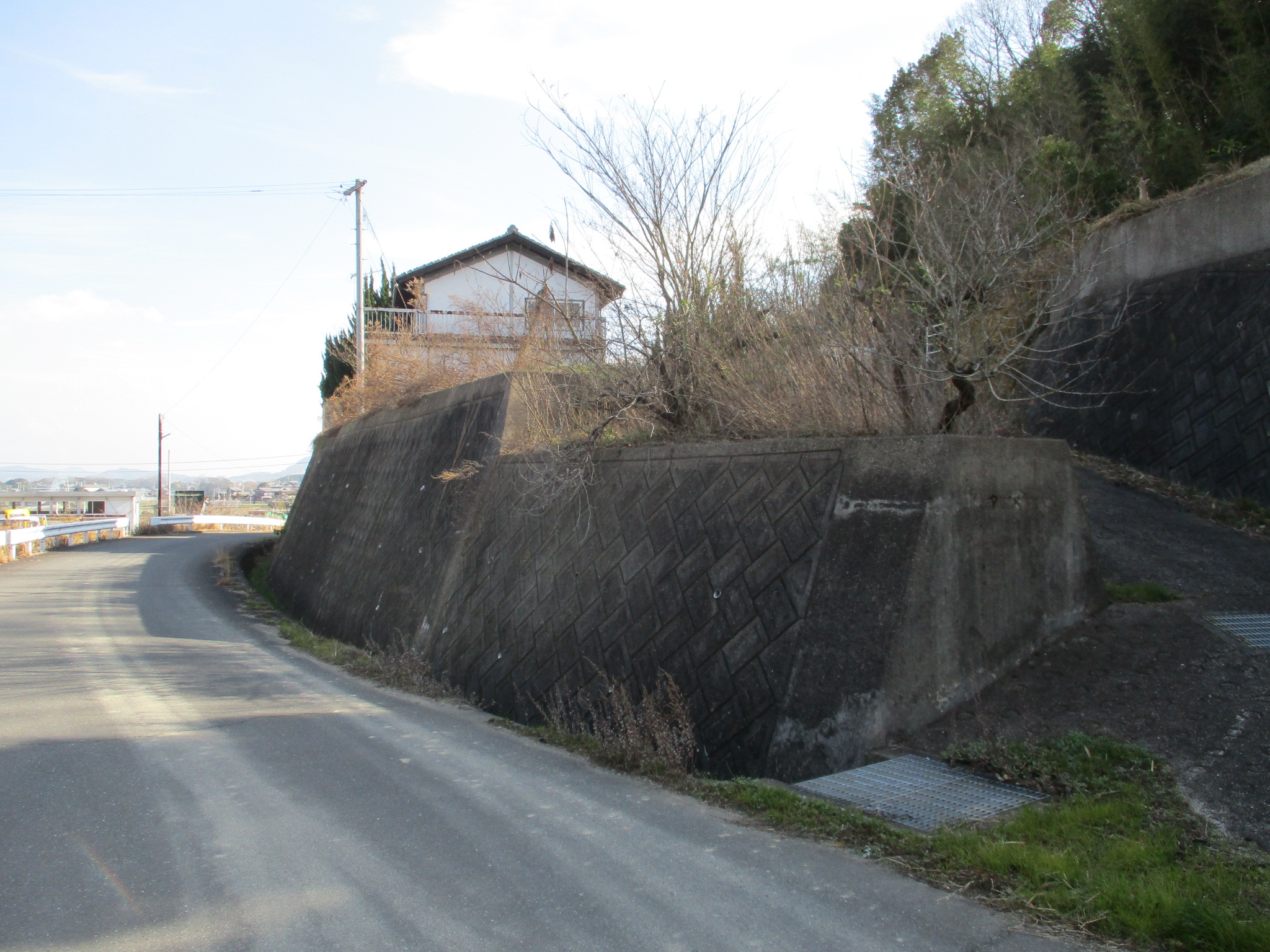 池田町土地（25万円）情報公開しました