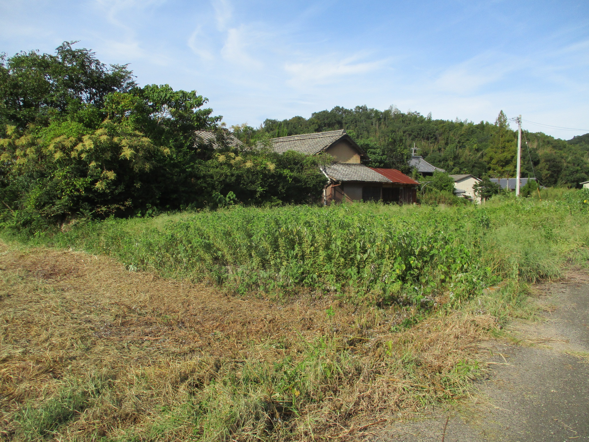 木田郡三木町鹿庭土地（1万円）情報公開しました