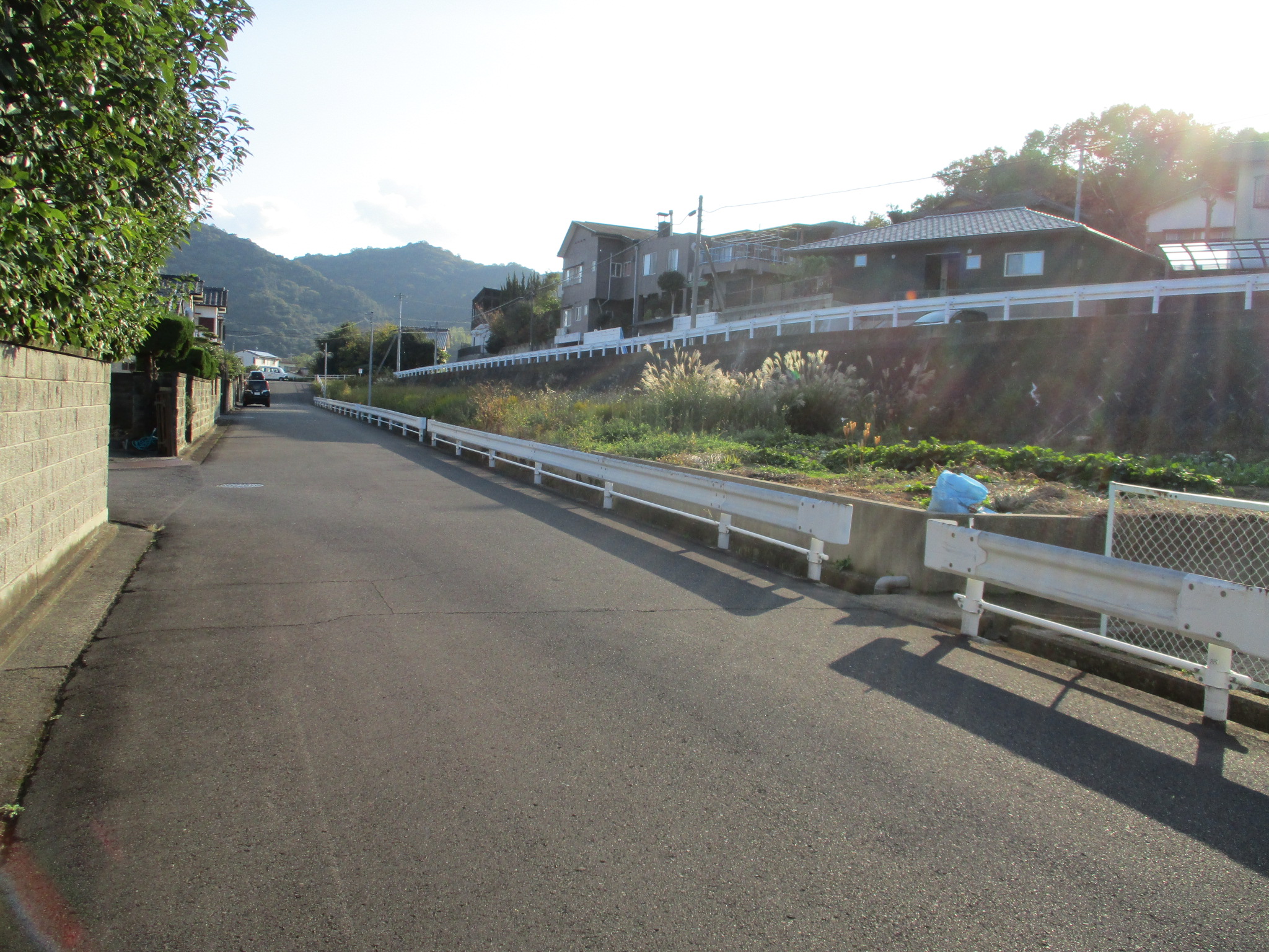 国分寺町新名1499-2土地（200万円→100万円）価格改定しました