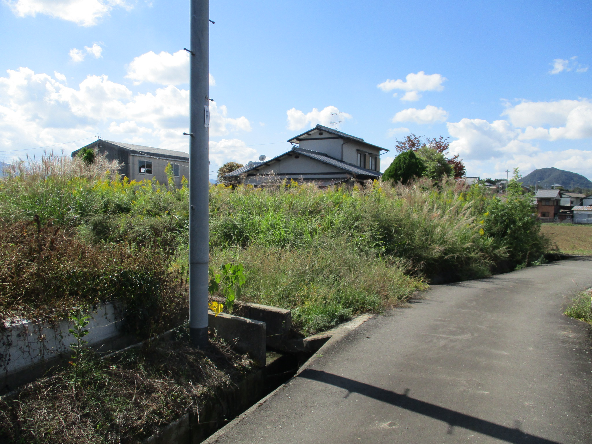 十川東町土地（250万円）情報公開しました