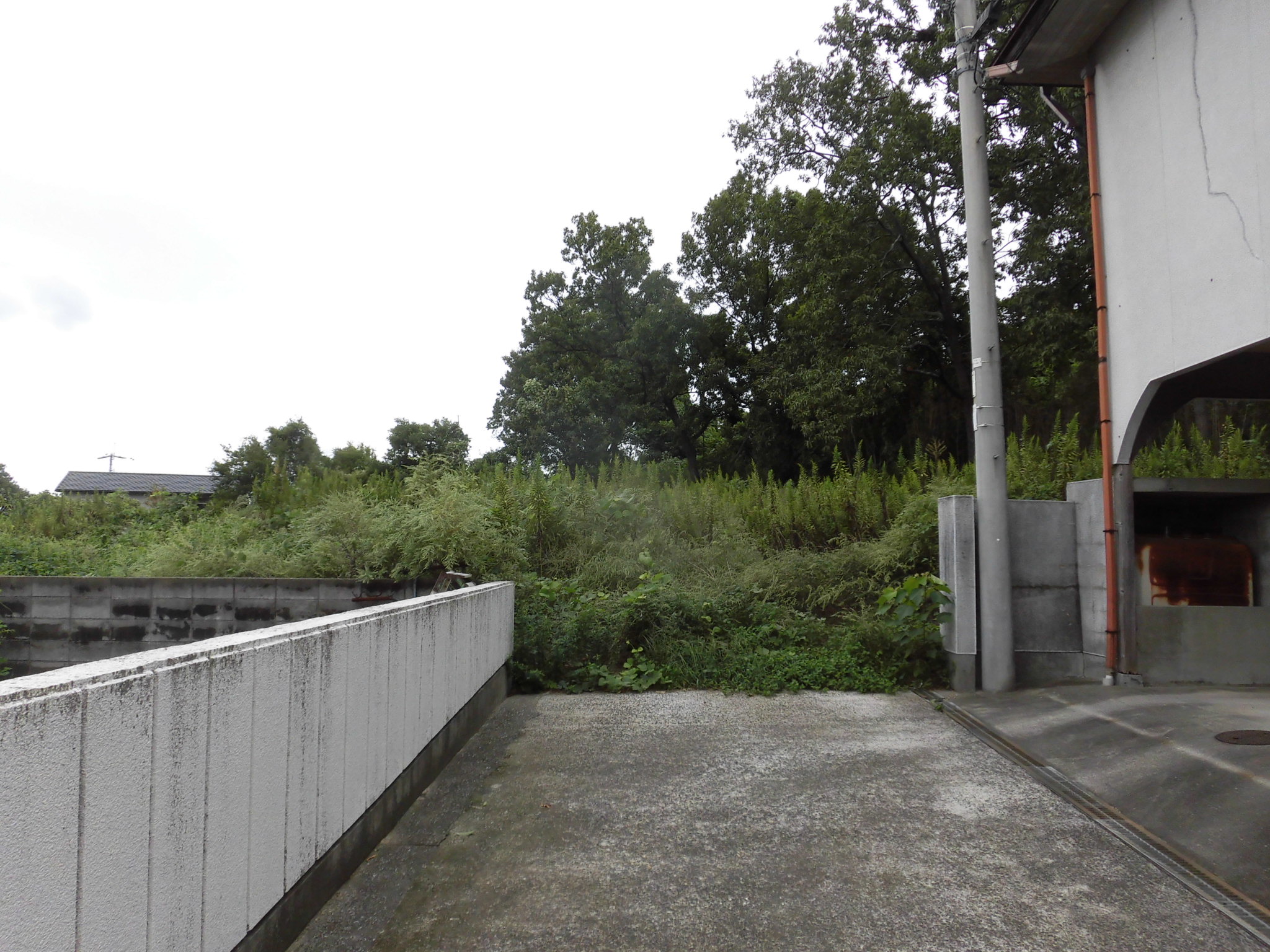 新田町甲土地（１５０万円）情報公開しました。